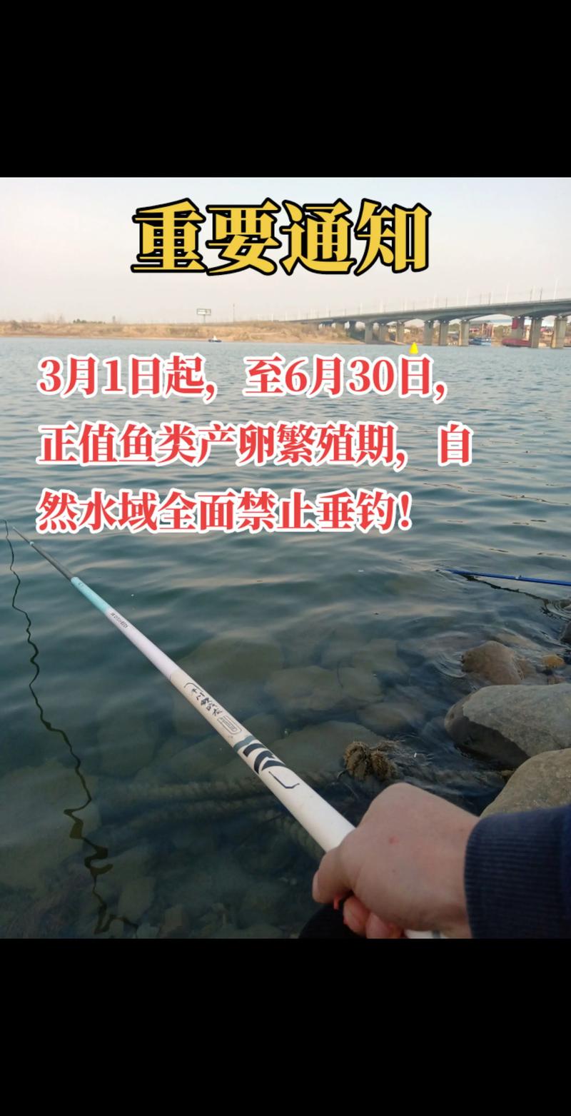 成都升仙湖能釣魚嗎_成都升仙湖釣魚要錢嗎_升仙湖夜釣