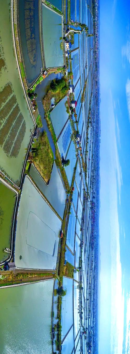 高淳固城湖花園是哪一年開發的_高淳固城湖論壇_南京高淳固城湖生態景區