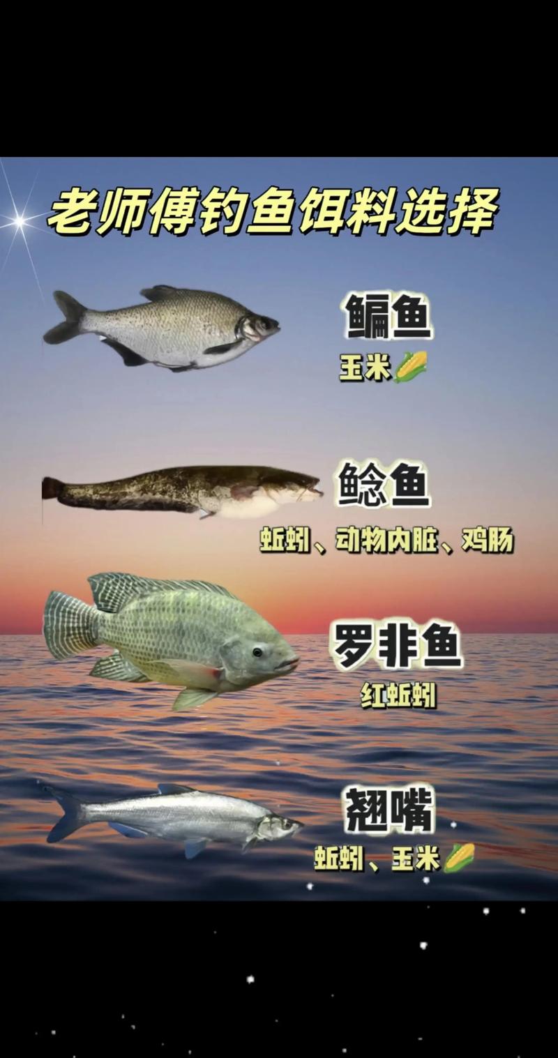 早春野釣鯽魚經驗_野釣技巧_野釣鯽魚技巧_野外釣魚必看_早春野釣裝備選擇技巧