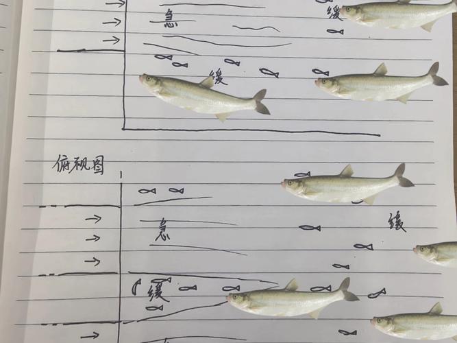 泥鰍釣翹嘴視頻教程_泥鰍釣翹嘴線組圖解_泥鰍串鉤釣翹嘴方法圖