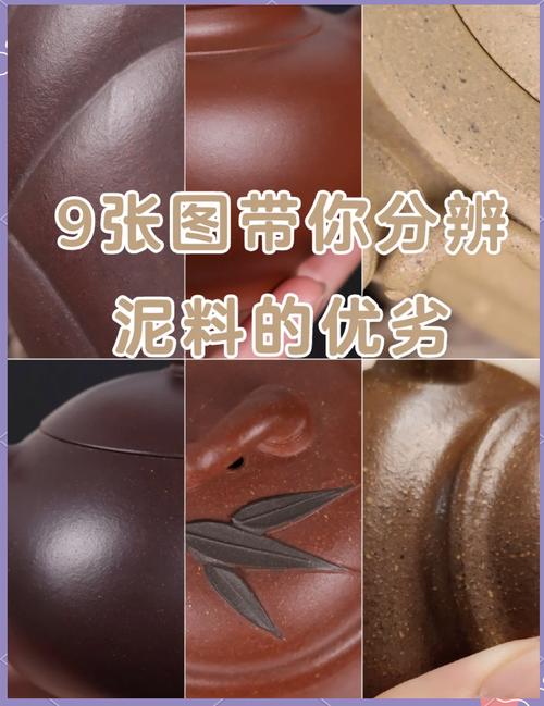 泥芒魚_泥芒魚_泥芒魚