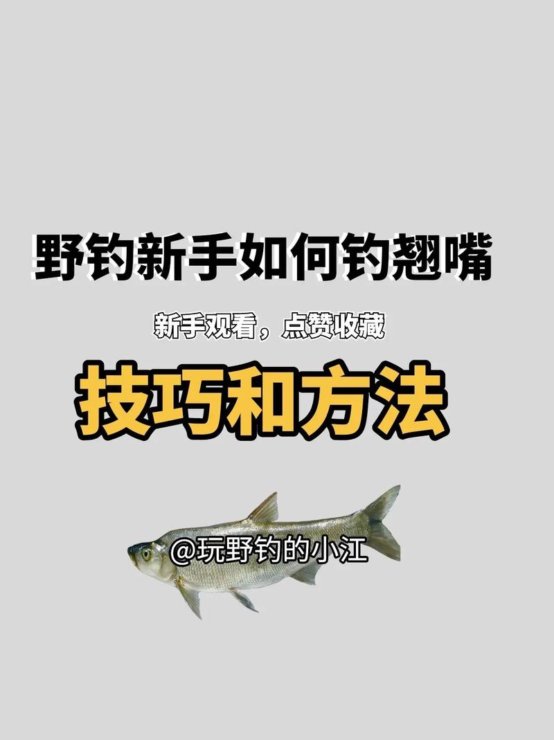 泥鰍釣翹嘴方法_如何泥鰍釣翹嘴_釣泥鰍方法翹嘴怎么釣