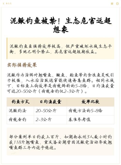 泥鰍釣魚為什么被禁止_泥鰍對生態系統的影響_泥鰍釣魚為什么被禁止