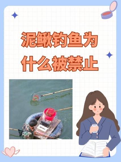 泥鰍釣魚危害及禁止原因_泥鰍釣魚為什么被禁止_泥鰍釣魚原理