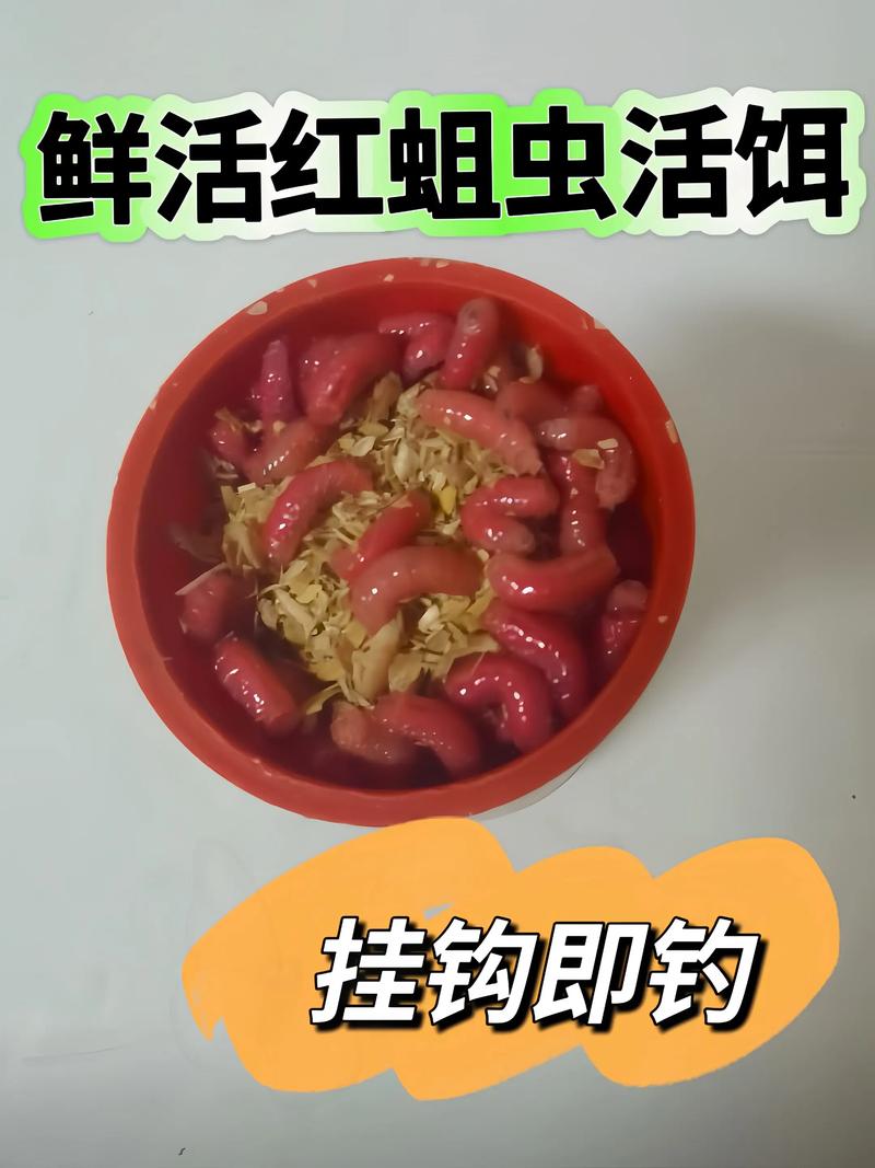 釣魚用的紅蟲有毒嗎_釣魚用的紅蟲有病毒嗎_釣魚的紅蟲是否有毒