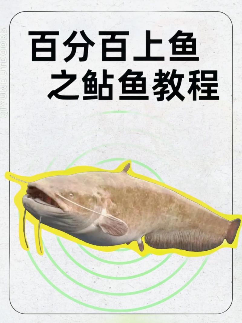 北極鯰魚鲇的正確用法_鯰字的規范使用_鲇魚 鯰魚