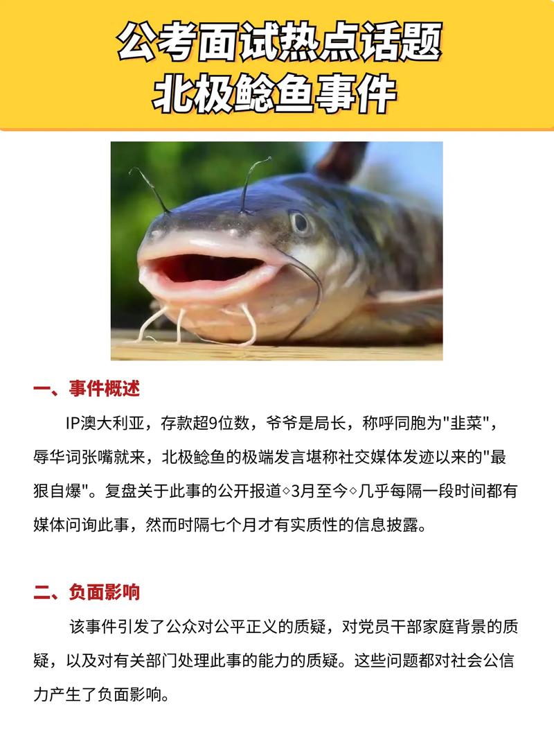 北極鯰魚鲇的正確用法_鯰字的規范使用_鲇魚 鯰魚