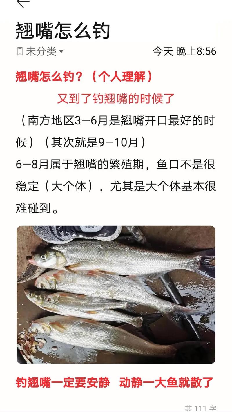 釣翹嘴習性_釣翹嘴技巧_公認釣翹嘴最快的釣法