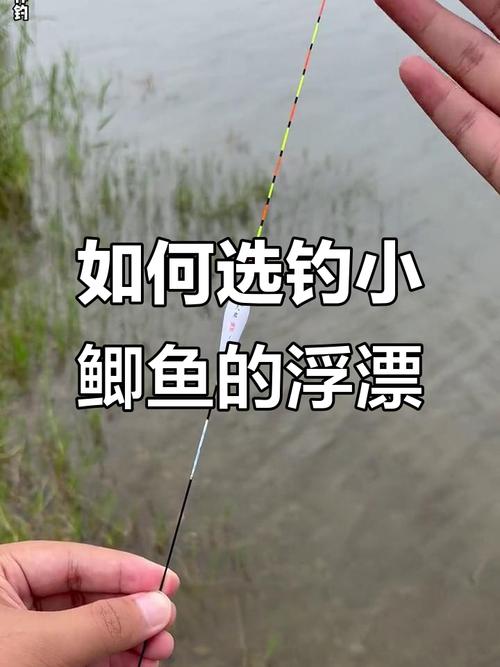 浮漂選擇與調漂方法詳解_初學者浮漂選擇與調漂技巧_野釣鯽魚浮漂的選擇