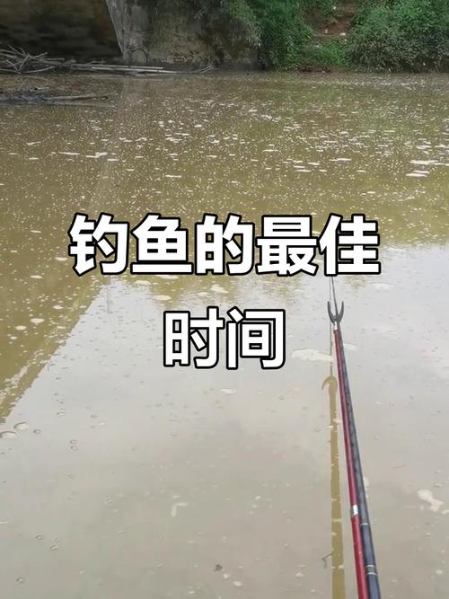 夏天釣蚯蚓_夏季蚯蚓釣魚技巧_釣魚夏季蚯蚓技巧和方法