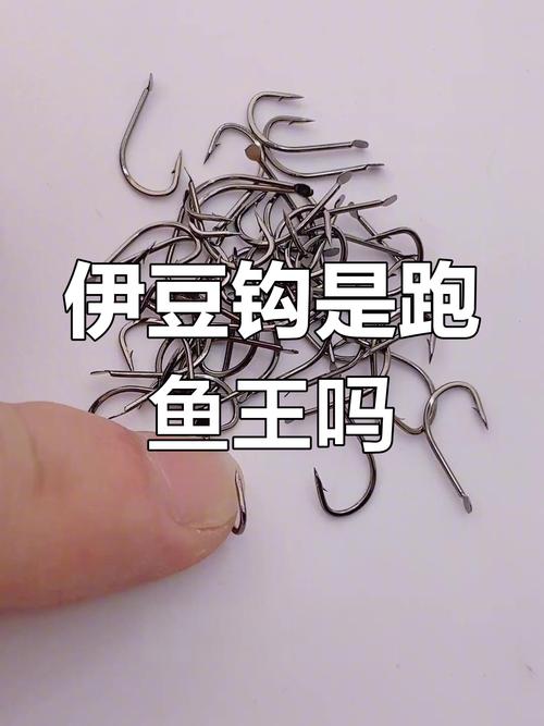 魚鉤伊豆鉤的參數表_伊豆魚鉤_魚鉤伊豆還是伊勢尼好