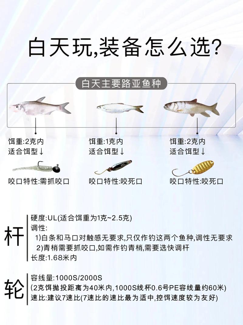 釣魚發燒友怎么秒魚神_釣魚發燒友級別高有用嗎_釣魚發燒友刷魚竿方法