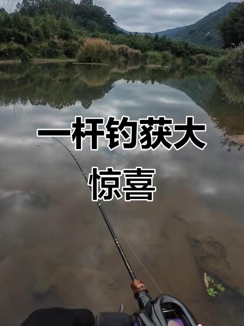 拋竿釣魚視頻野釣大魚視頻_釣魚視頻拋竿視頻大全_拋竿釣魚視頻