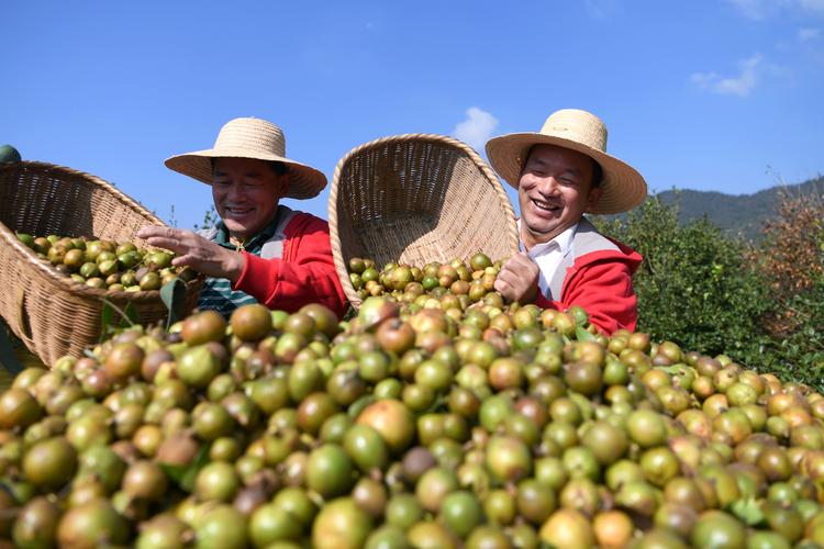 白沙水庫_白沙水庫在哪兒_白沙水庫多大