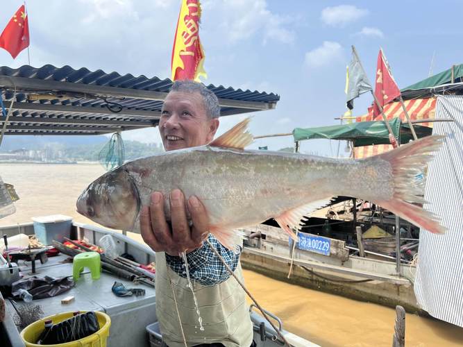 白鰱魚怎么釣_釣白鰱魚視頻教程_釣白鰱魚餌料配方