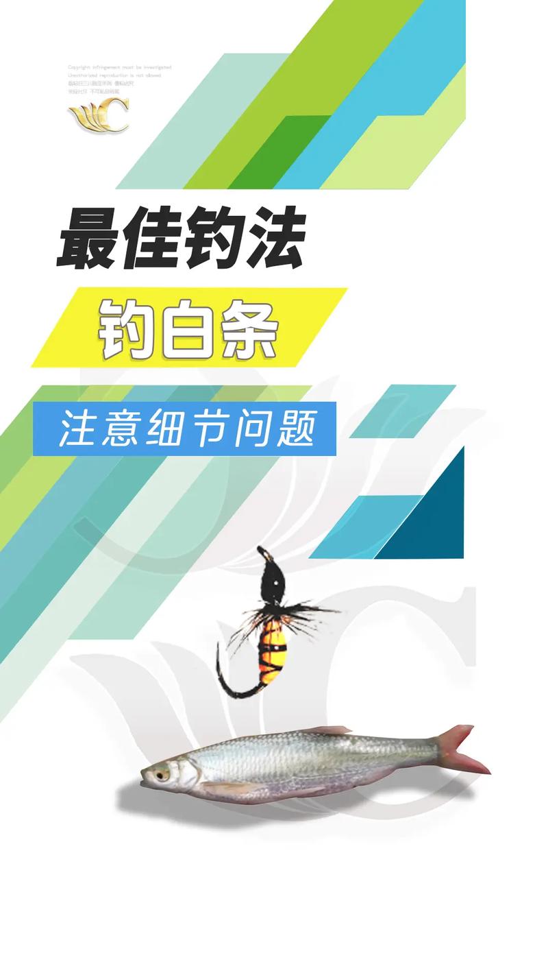 釣白條的心得分享，快來看看用啥餌料能讓你釣個過癮