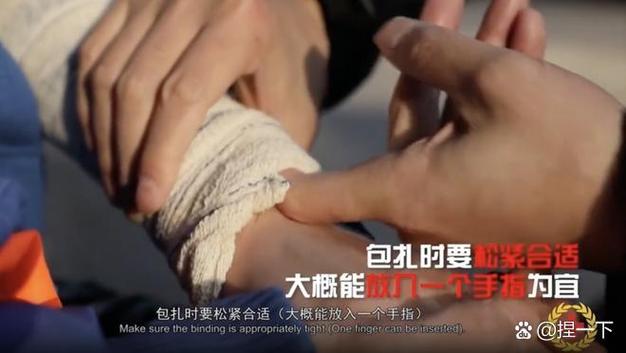 廣東煲蛇湯用什么藥材_廣東 蛇_廣東常見的蛇圖片