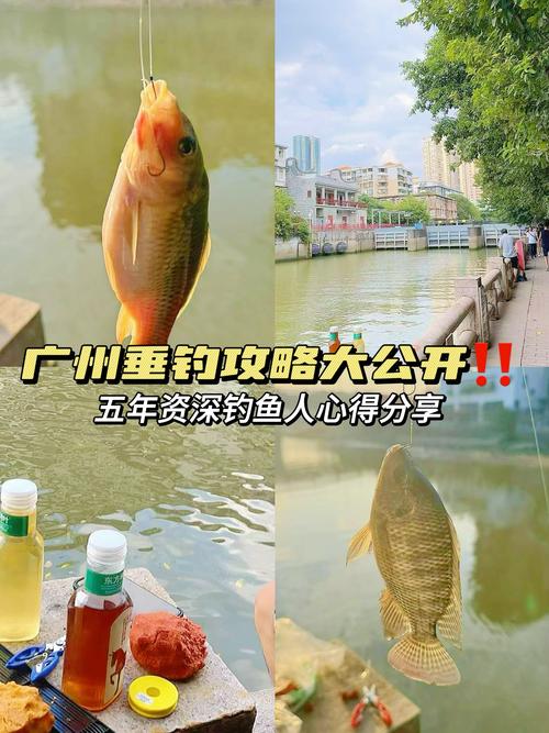 廣州哪里好釣魚_廣州白云區免費釣點_流溪河釣點推薦