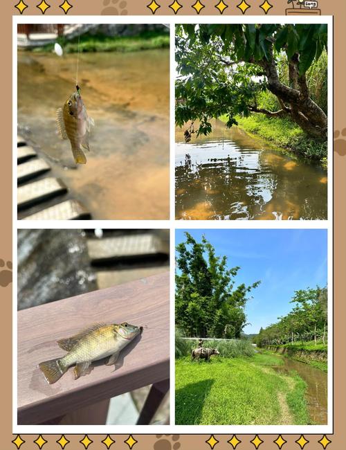 廣州白云區免費釣點_流溪河釣點推薦_廣州哪里好釣魚