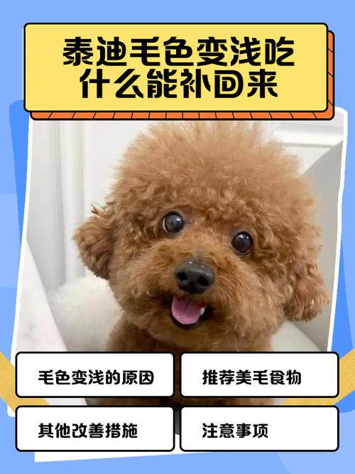 維生素食物一覽表_維生素e的食物_維生素食物有哪些