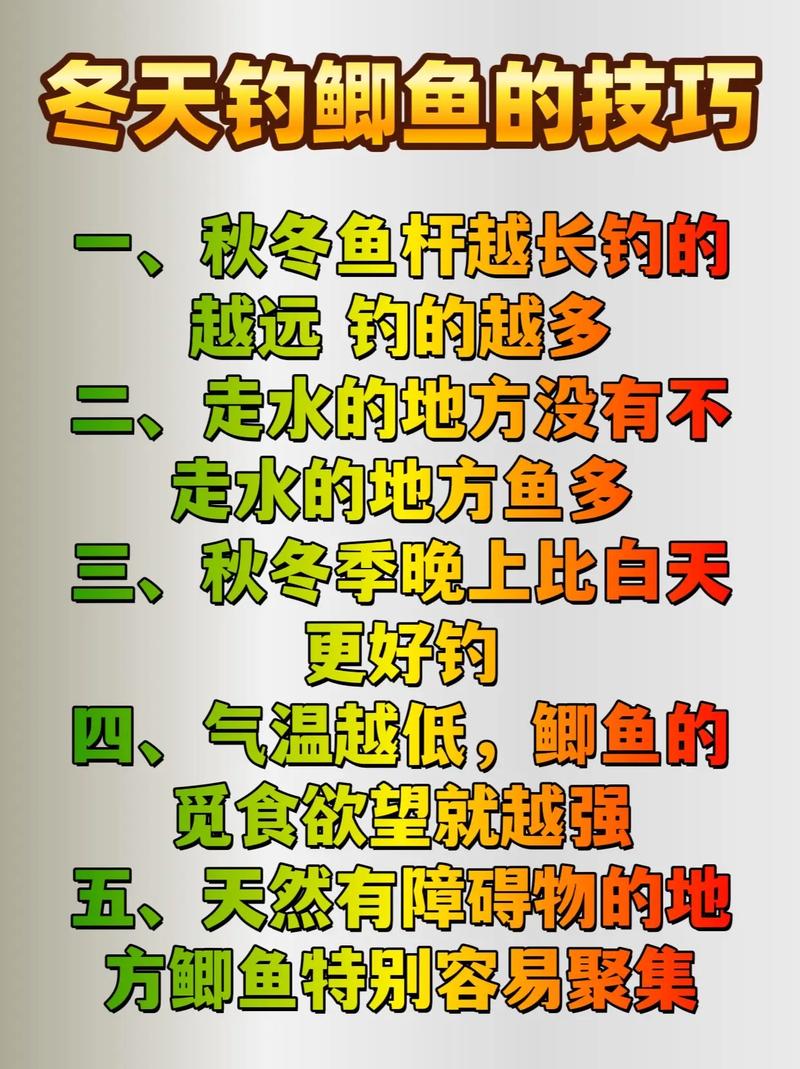 釣冬季鯽魚技巧和方法_冬季釣鯽魚技巧_冬季怎么釣鯽魚視頻教程