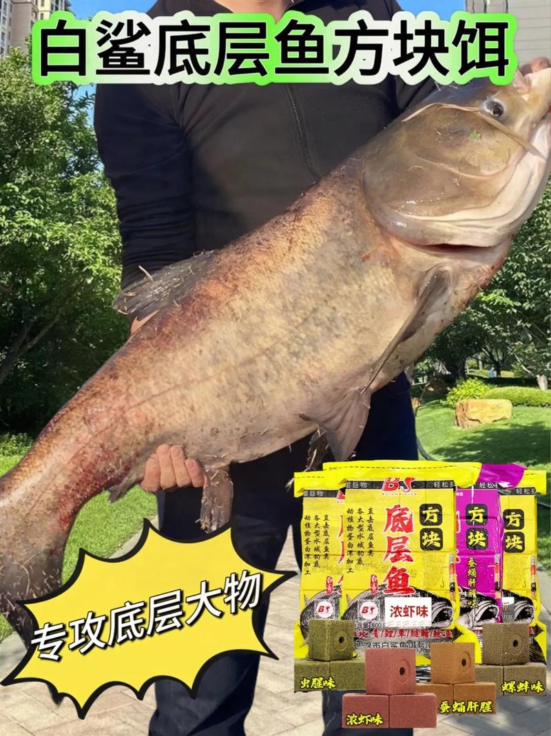 釣大魚技巧_海釣大魚視頻_海釣新手魚餌選擇