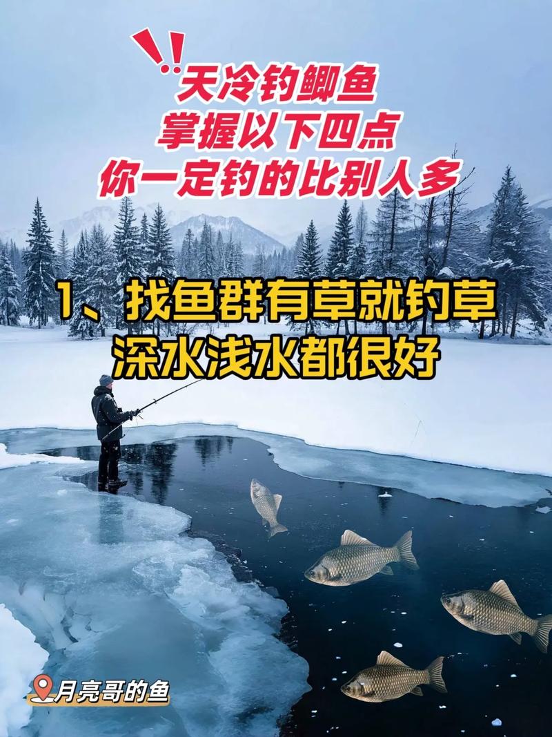 冬季釣鯽魚攻略_冬天釣魚技巧_冬天釣魚訣竅