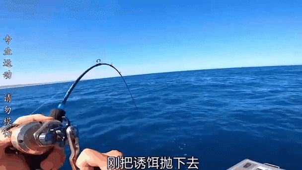 鯊魚釣魚頭像_鯊魚釣法_鯊魚_怎樣釣鯊魚