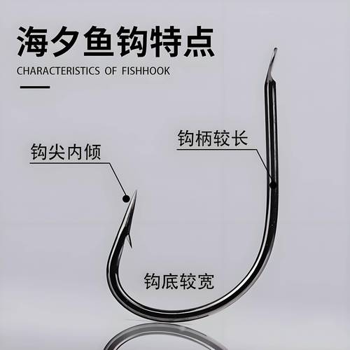 海釣釣具選擇_海釣魚餌掛鉤圖片_海釣對象魚種類
