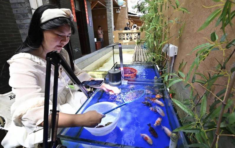 2021北京觀賞魚展覽_北京觀賞魚_北京市觀賞魚市在什么地方