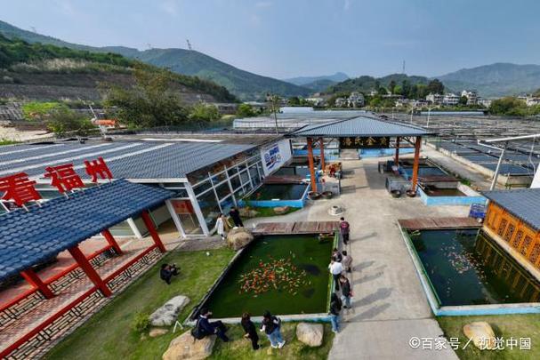 2021北京觀賞魚展覽_北京觀賞魚_北京市觀賞魚市在什么地方