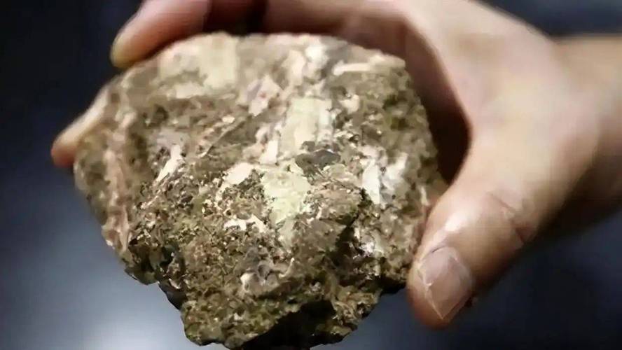 有面沒有口_有口沒嘴_謎語有面沒有口