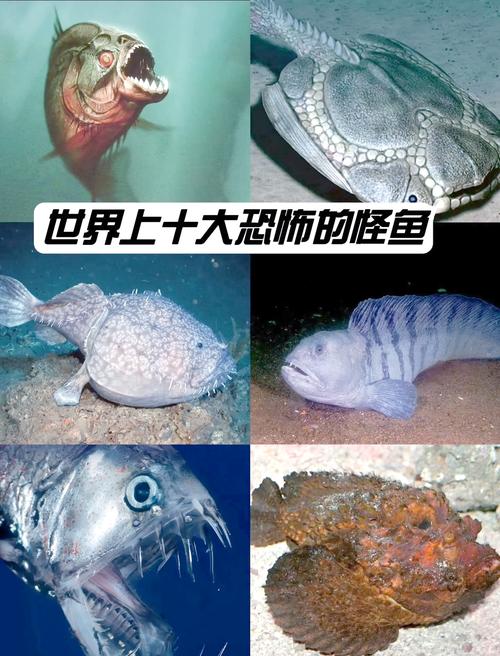 有手的魚_天天猜成語頭水滴手魚_手竿釣大魚溜魚技巧