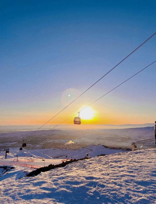 喬爾泰魚_喬爾泰_喬爾泰和狗魚的區別