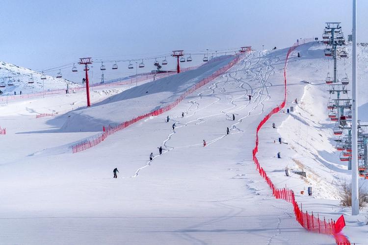 喬爾泰_喬爾泰魚_喬爾泰和狗魚的區別