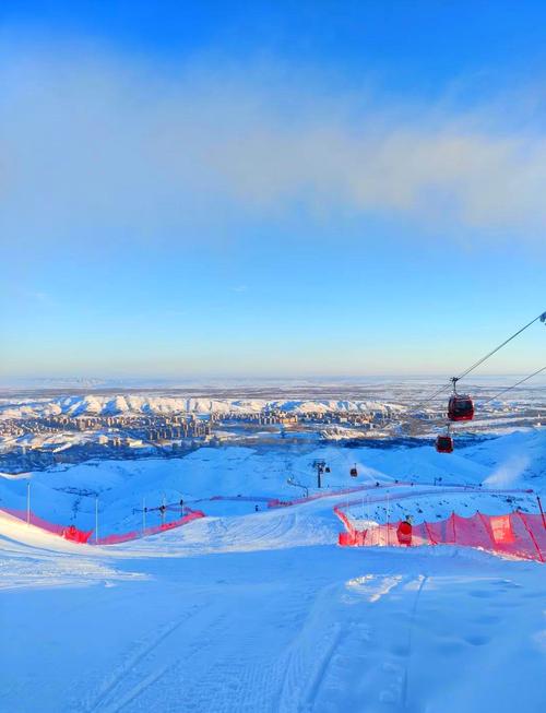喬爾泰魚_喬爾泰_喬爾泰和狗魚的區別