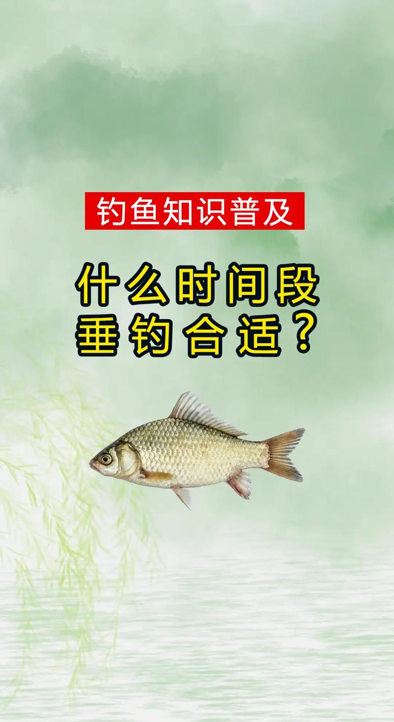 釣魚頻道_釣魚頻道野釣視頻_釣魚頻道野釣