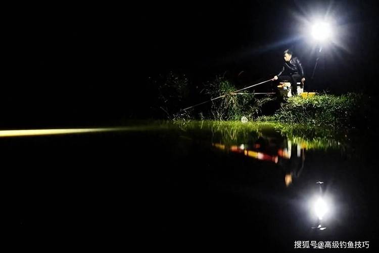 夜釣燈魚會嚇到嗎_夜釣燈對魚有影響嗎?_夜釣燈影響魚吃口不