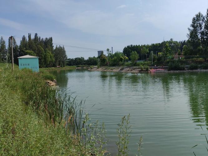 釣魚山西地方有可以釣的魚嗎_山西有哪些地方可以釣魚_山西哪里能釣魚