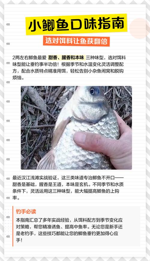 魚餌配方大全野釣通殺_魚餌的配方_魚餌料配方大全