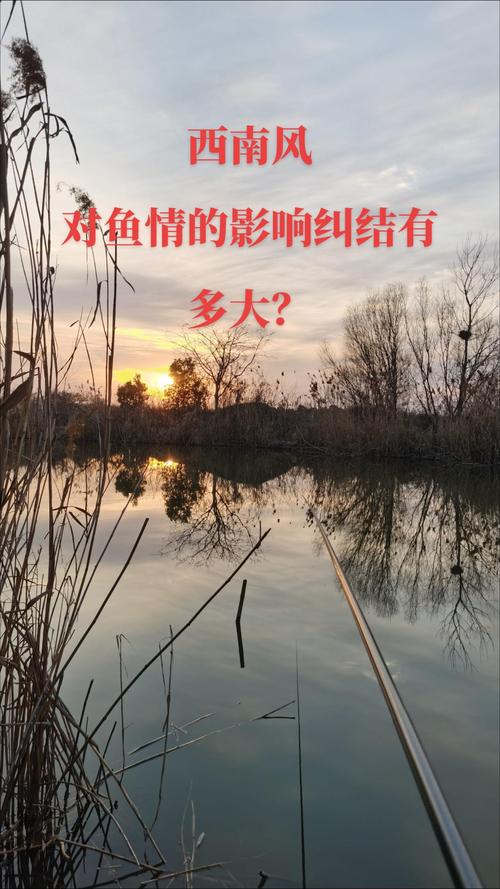 上海夏季西南風釣魚_上海西南休閑垂釣中心_上海釣魚季節