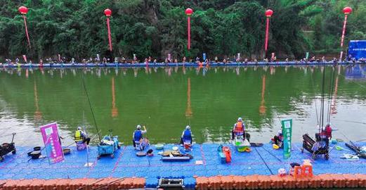 休閑垂釣視頻_垂釣視頻2019年野釣_垂釣教程視頻全集