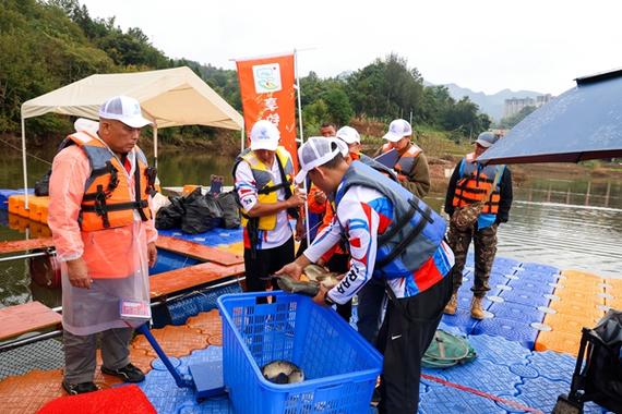 垂釣教程視頻全集_休閑垂釣視頻_垂釣視頻2019年野釣