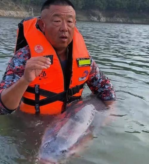 李大毛李大毛李大毛_野釣全攻略李大毛_李大毛游釣中國