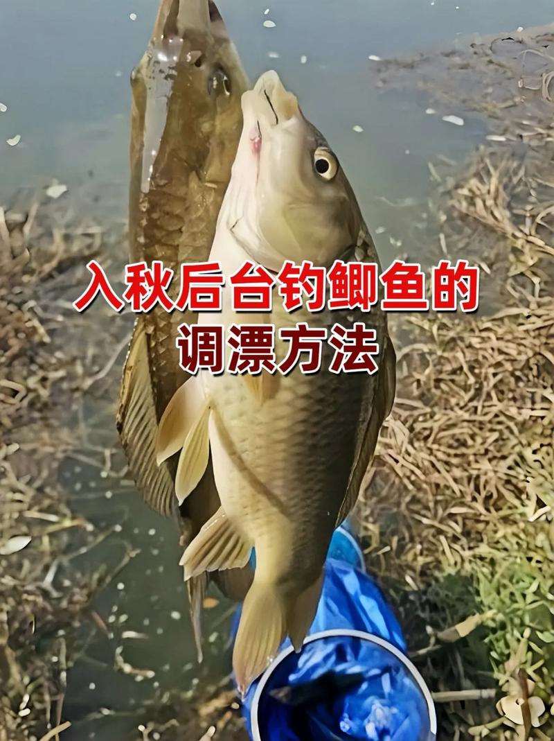 避開小魚釣大鯽魚絕招調漂_避開小魚釣大鯽魚絕招_釣魚避開小魚的方法