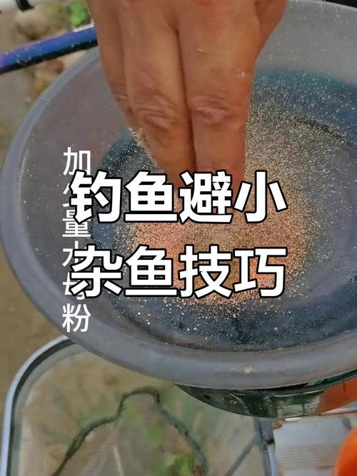 釣魚避開小魚的方法_避開小魚釣大鯽魚絕招_避開小魚釣大鯽魚餌料