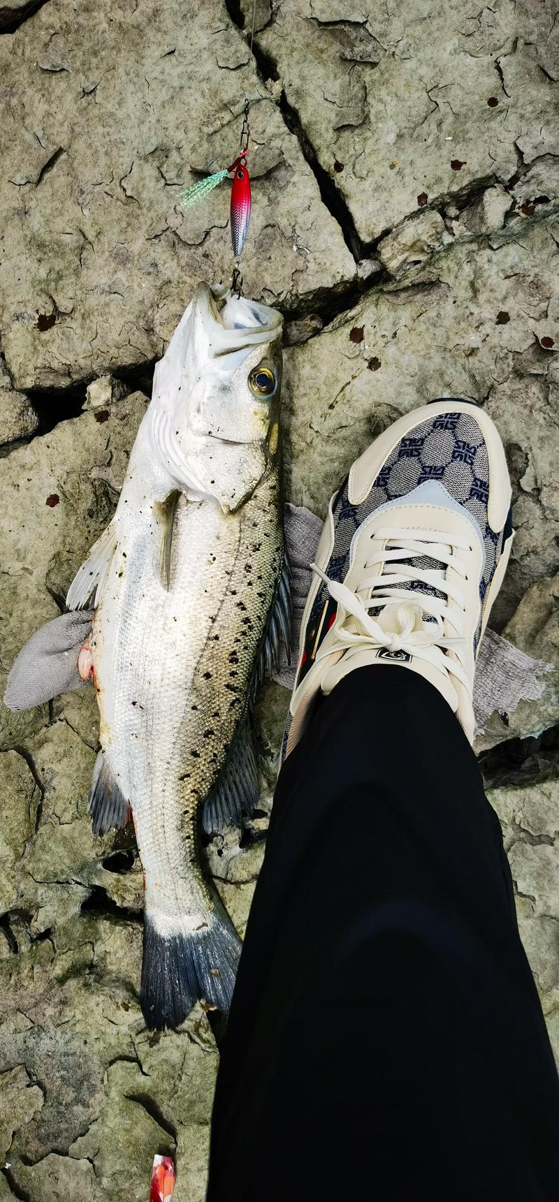 一起來路亞吧_路亞打出去就要馬上往回拉嗎_使用路亞