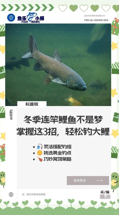 鯉魚有幾種釣法_鯉魚的生活習性與垂釣技巧_鯉魚的生活環境及釣法