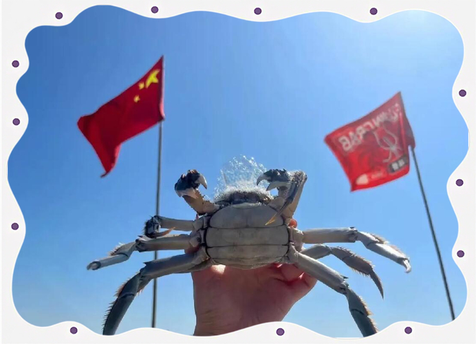 南京高淳固城湖生態景區_高淳固城湖花園房價_高淳固城湖論壇