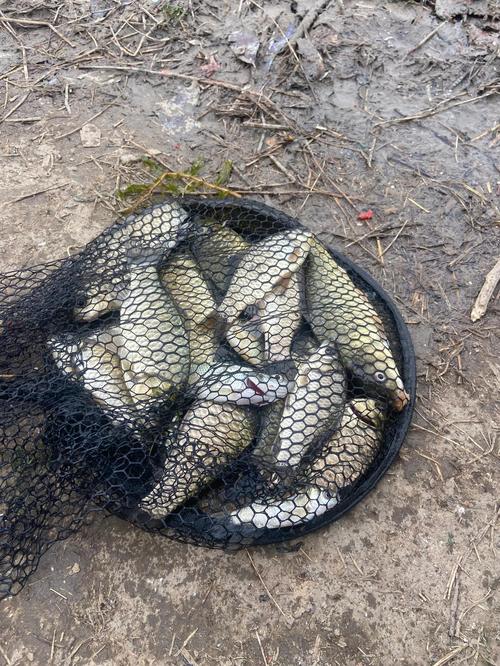 巴南雁灘水庫釣魚圖片_付近釣魚水庫_巴南區釣魚農家樂